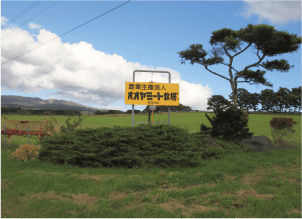 オオヤミート写真1