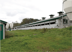 オオヤミート写真2