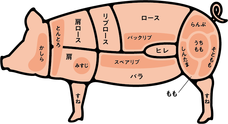 豚肉の部位