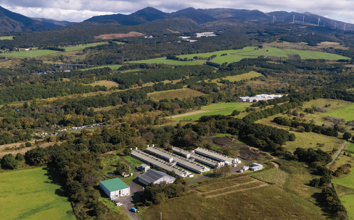 代表取締役写真