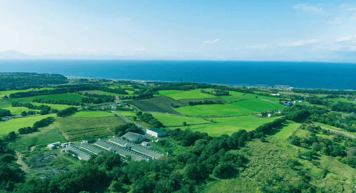 ショップへのリンク